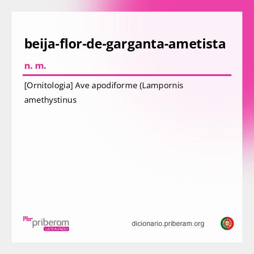 Significado de beija-flor-de-garganta-ametista